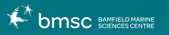bmsc logo